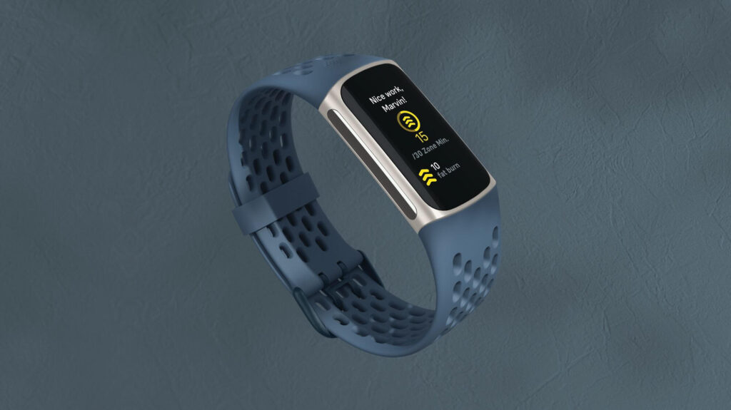 fit charge 5 with grey wristband